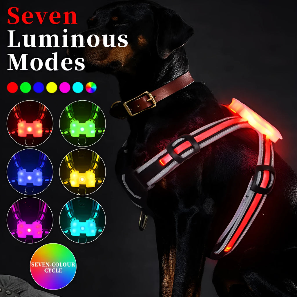 Seven-colour LED dog leash with nylon strap and charging cable in multiple size options