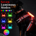 Seven-colour LED dog leash with nylon strap and charging cable in multiple size options