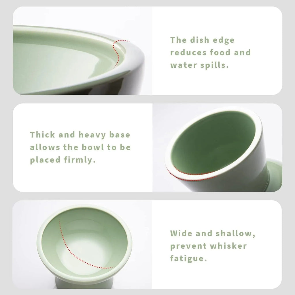 Elevated ceramic cat bowl with wide shallow dish in blue, green, pink or white colours