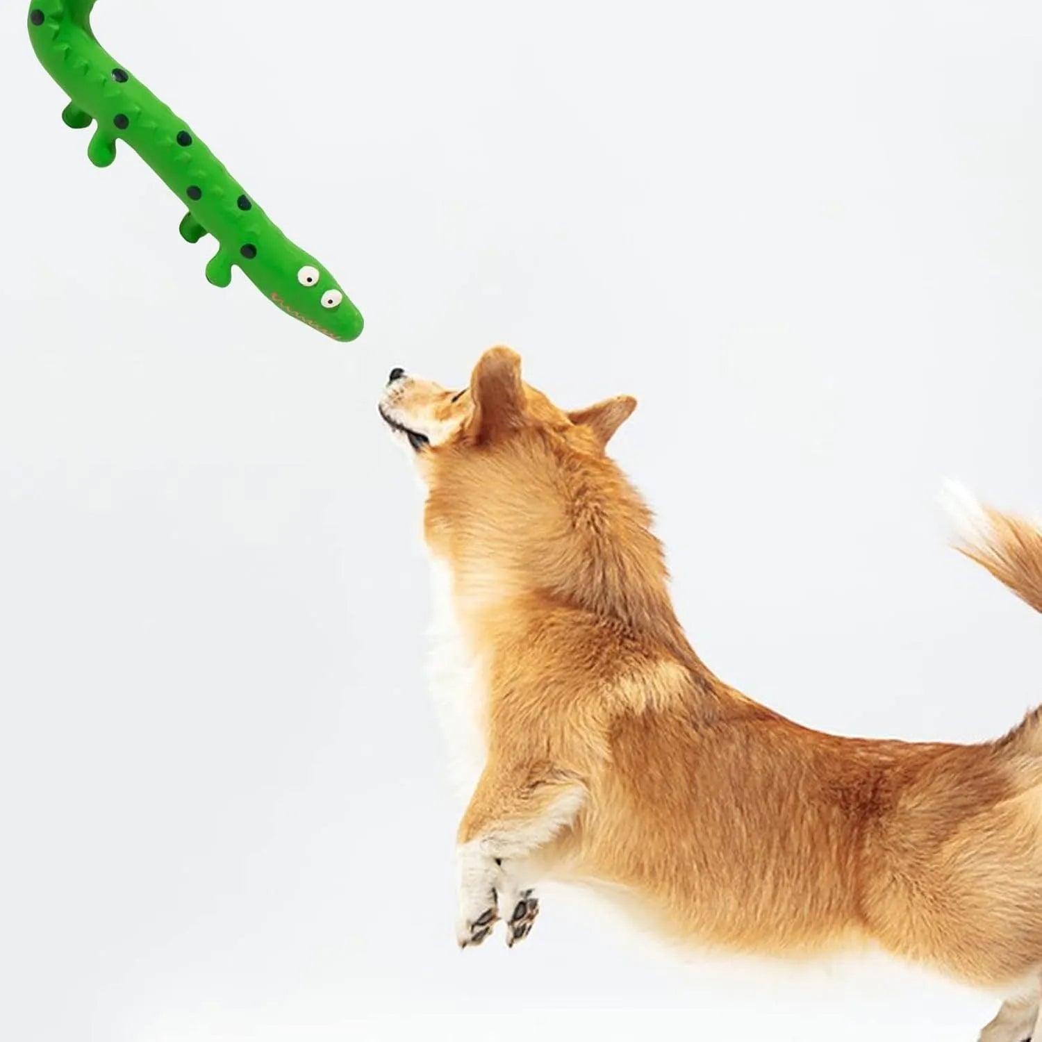 Green cartoon lizard shaped dog chew toy with squeaker measuring 24x10x3cm