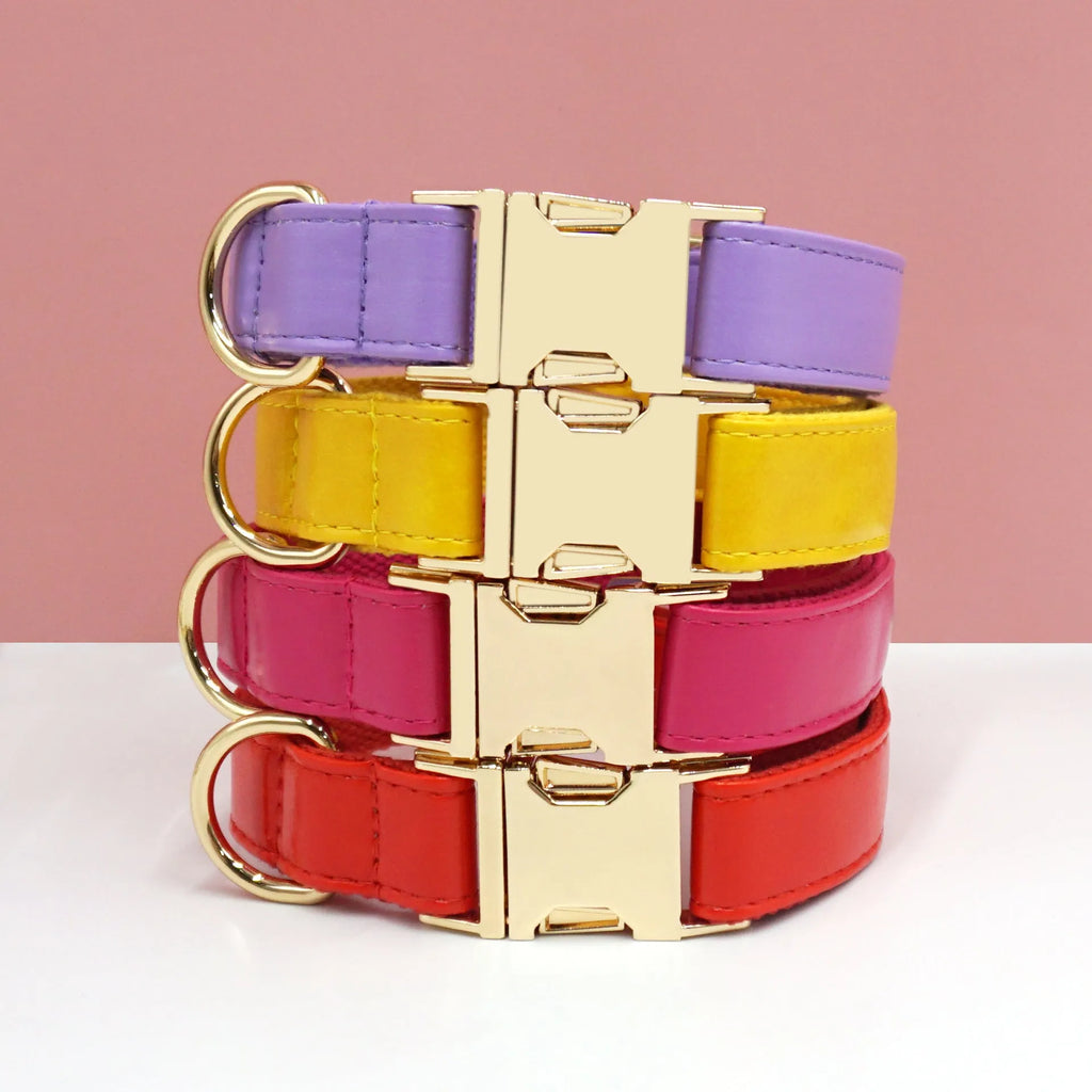 Colour-block leather dog collar with velvet trim shown in caramel colour