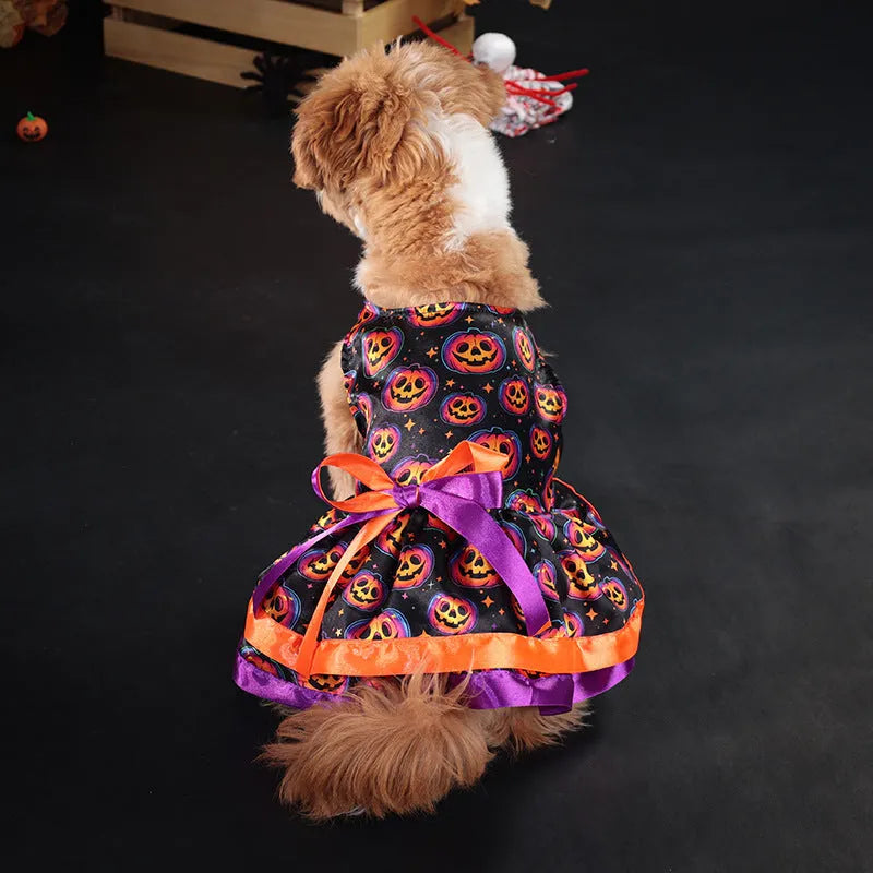 Halloween dog skirt in colourful pumpkin design on small dog