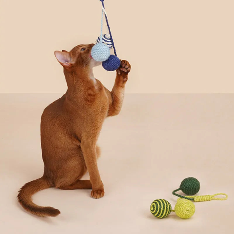 Cat toy set showing bite-resistant catnip ball and 255mm teaser stick in blue, green and multicolour options