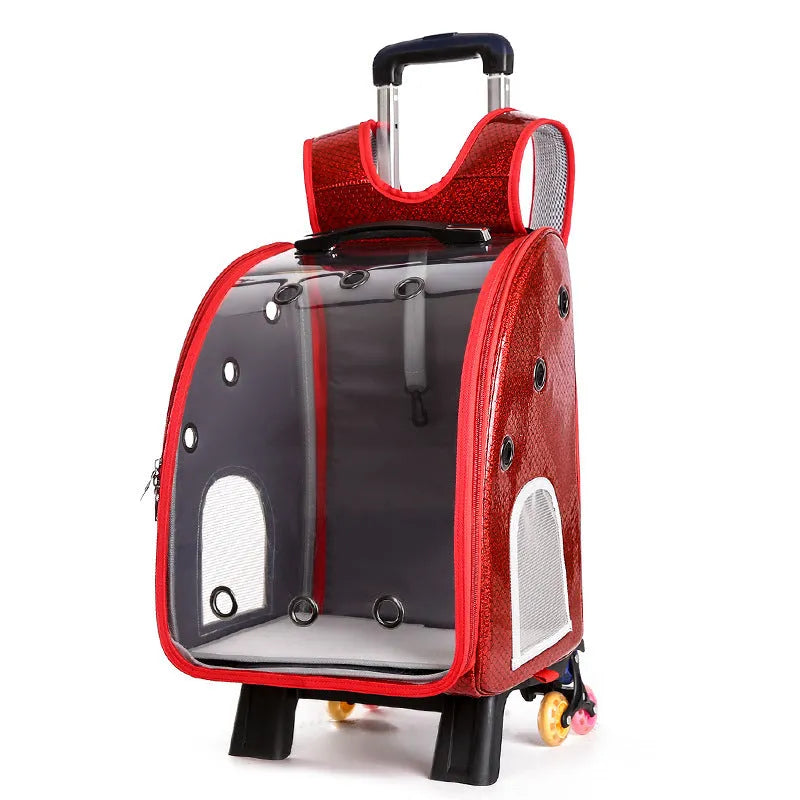 Transparent folding pet trolley bag with Oxford cloth construction in blue colour