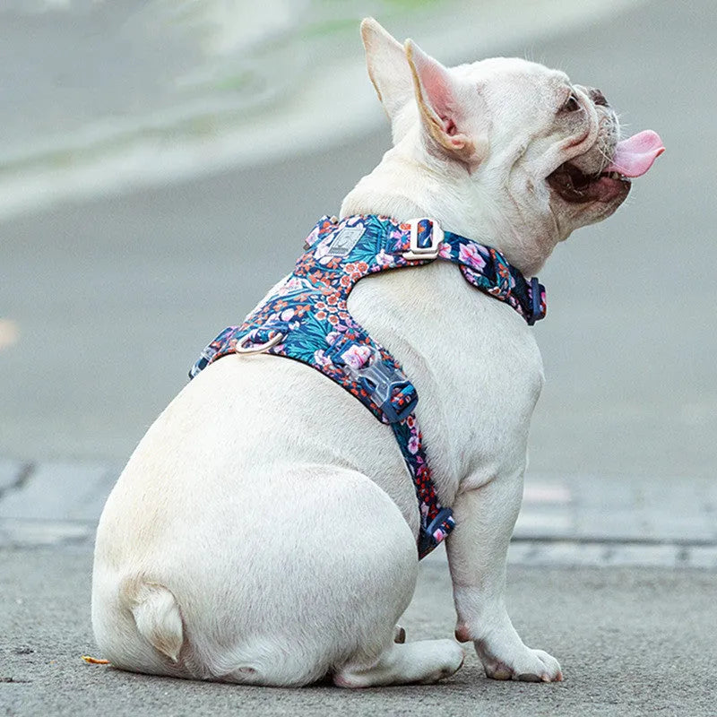 Pure cotton dog harness with floral pattern chest strap in red, blue, or green on various sized dogs