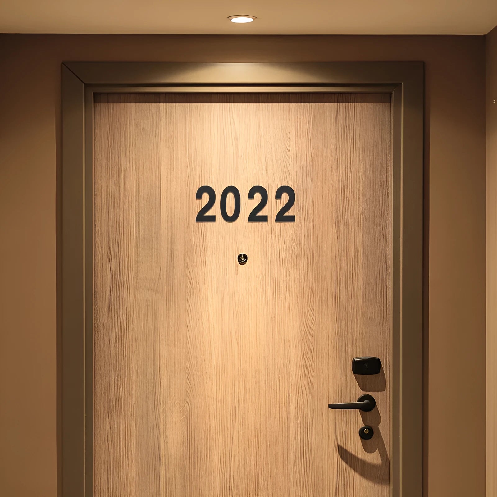 Black stainless steel sticky numbers and letters for a house address on a white background.