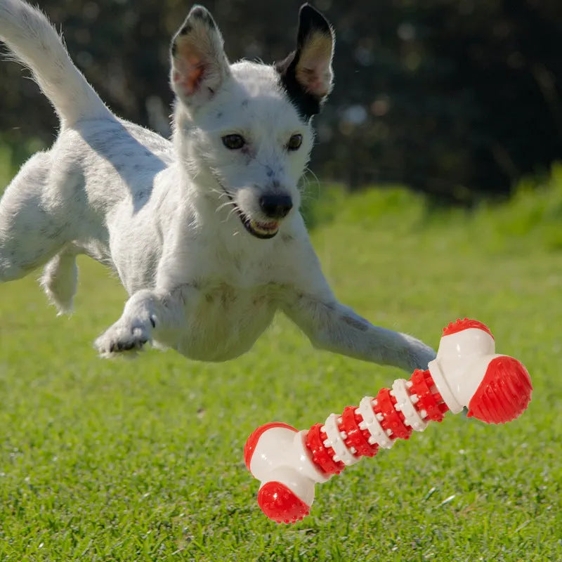Blue bone-shaped interactive dog toy with treat holder for small breed dogs