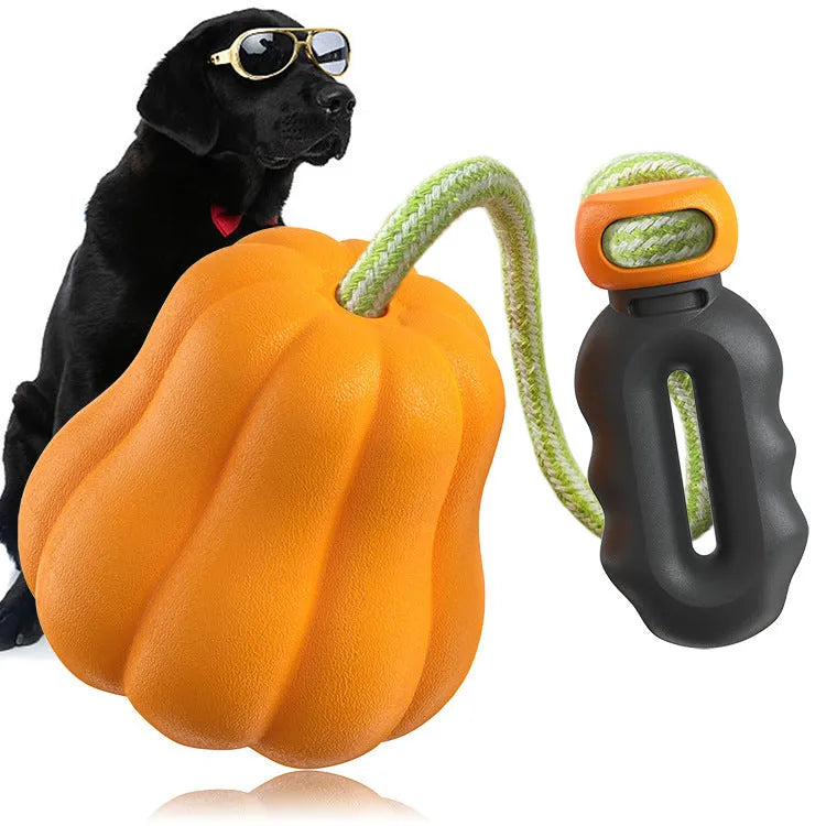 Orange pumpkin-shaped plastic dog chew toy with rope attachment for tug-of-war and fetch games