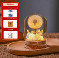 Dandelion glass night light ornament with gradient colour options on wooden surface