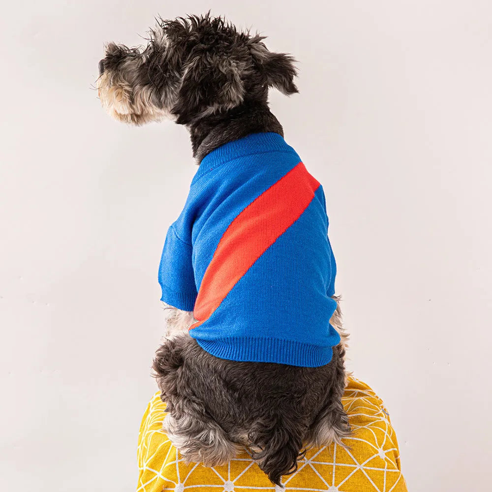 A casual wool knit sweater for a corgi or poodle, shown in one of six available colours.