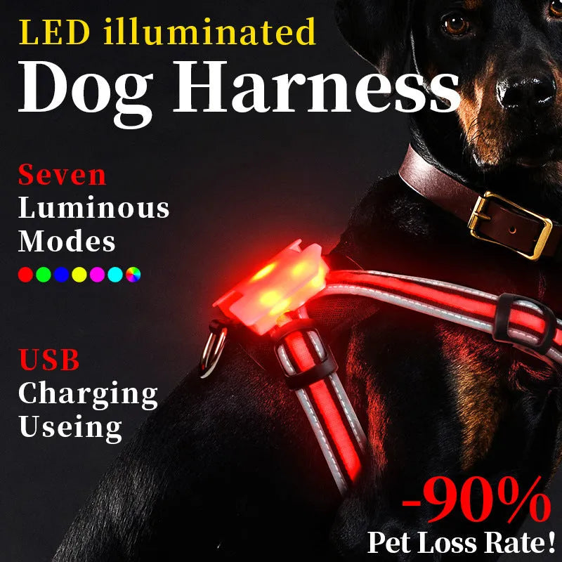 Seven-colour LED dog leash with nylon strap and charging cable in multiple size options
