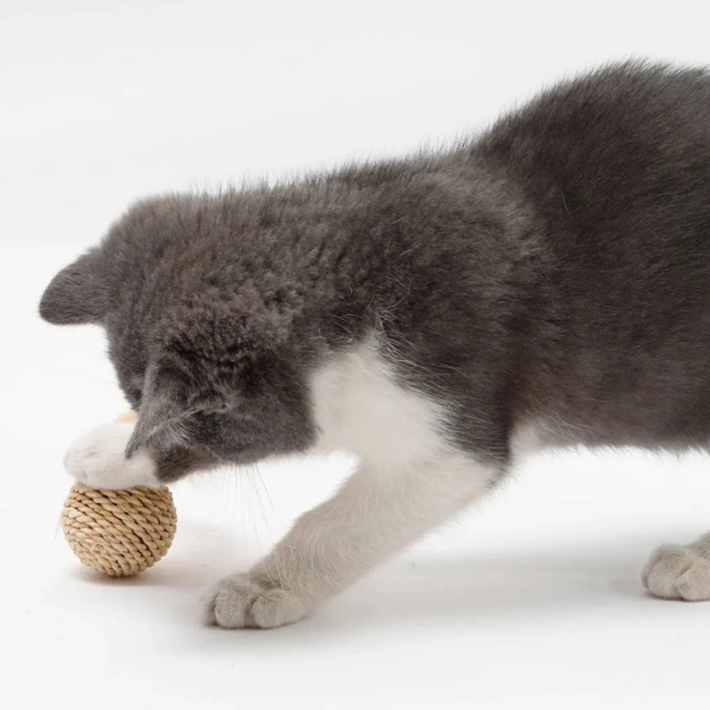 Two cat toys including a hollow rattan ball and a faux feather ball with bells for interactive kitten play