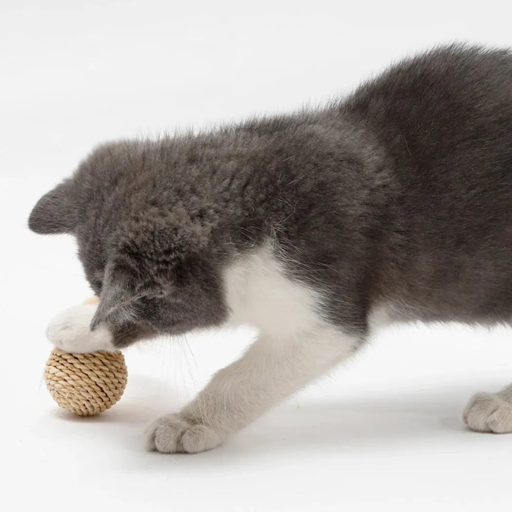 Two cat toys including a hollow rattan ball and a faux feather ball with bells for interactive kitten play