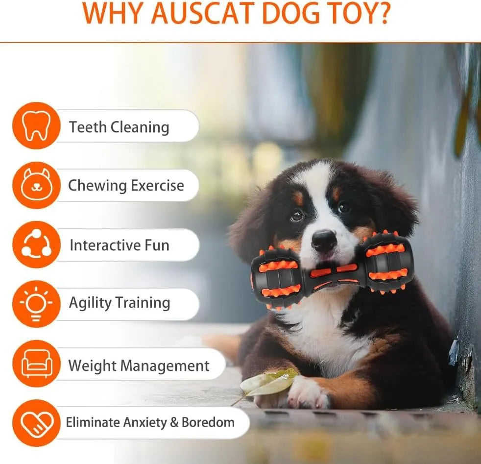 Red rubber dumbbell-shaped dog chew toy for aggressive chewers with double-layer construction