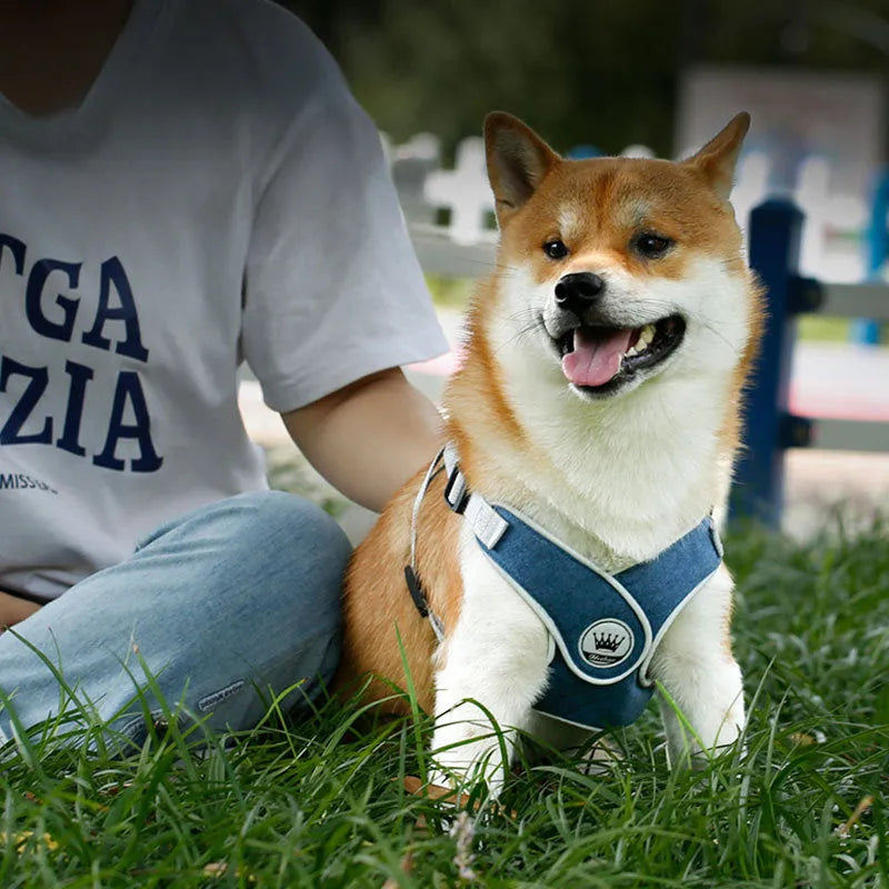Adjustable dog harness in breathable mesh with reflective chest strap and metal control ring