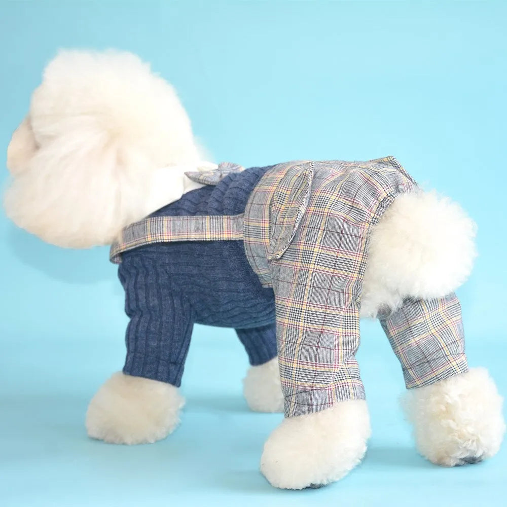 Orange and dark blue cotton dog shirt for small dogs showing size options S to 2XL