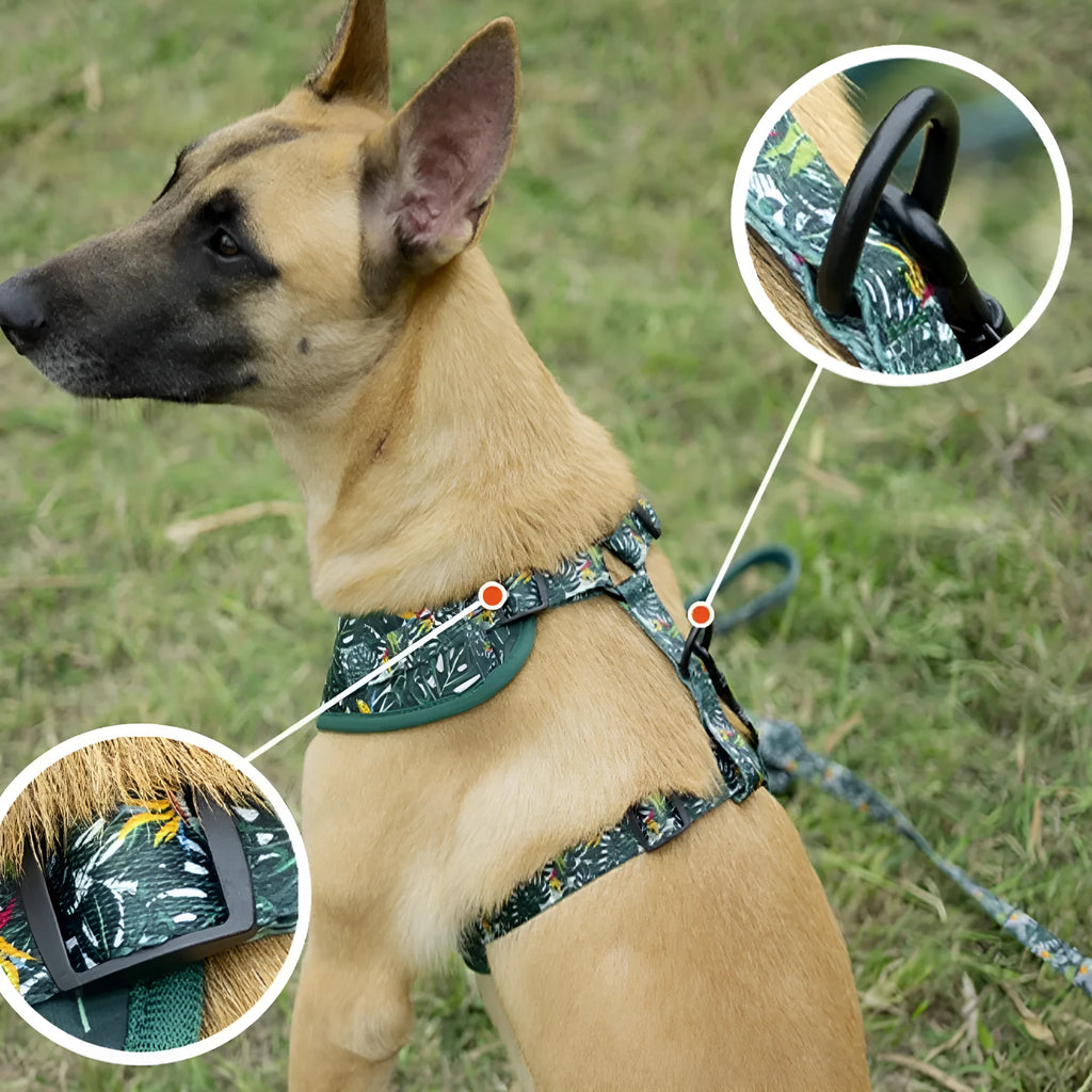 Six-piece adjustable cloth dog harness set on a table, showing vest, collar, rope, waste bag, bow, and triangular scarf.
