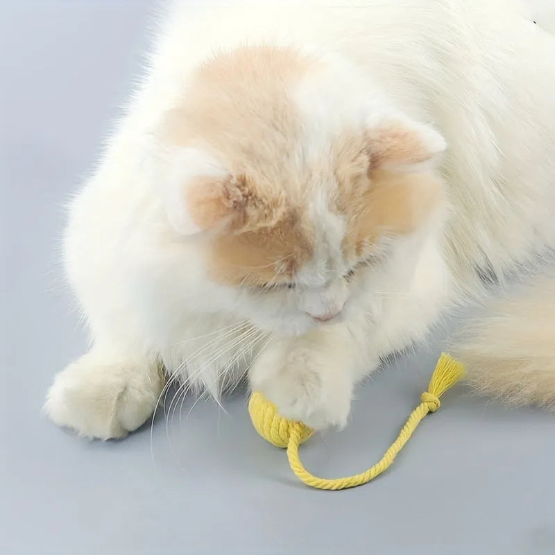 Colourful cat toy ball with rope attachment and built-in bell for interactive play