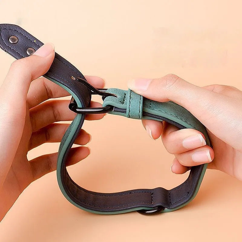 Adjustable double-layer thickened dog collar in purple, showing buckle and D-ring for ID tags.