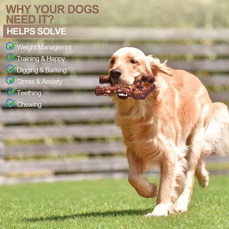 Scarlet red nylon dog molar chew toy with beef flavour coating for dental health