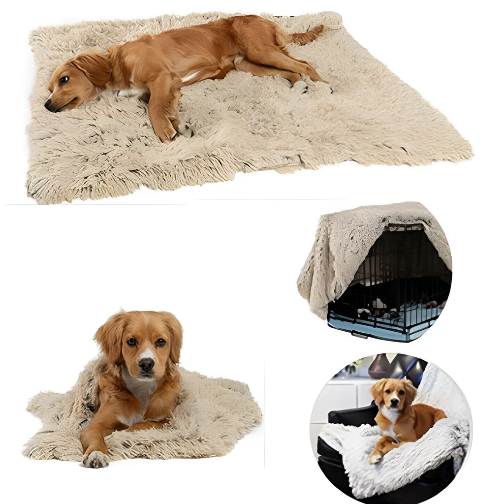 Long plush dark grey pet blanket shown as a dog bed and a reversible floor cushion.