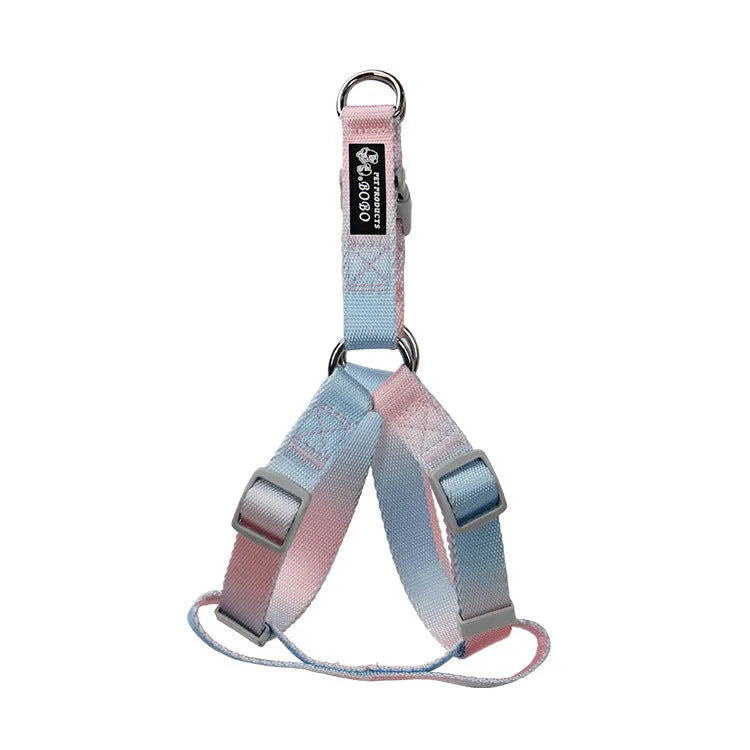 Nylon dog leash and collar set showing gradient colour pattern in pink and blue