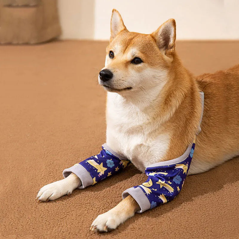 Blue dog knee protector sleeve with elbow padding and plastic buckle, shown with a matching patterned scarf.