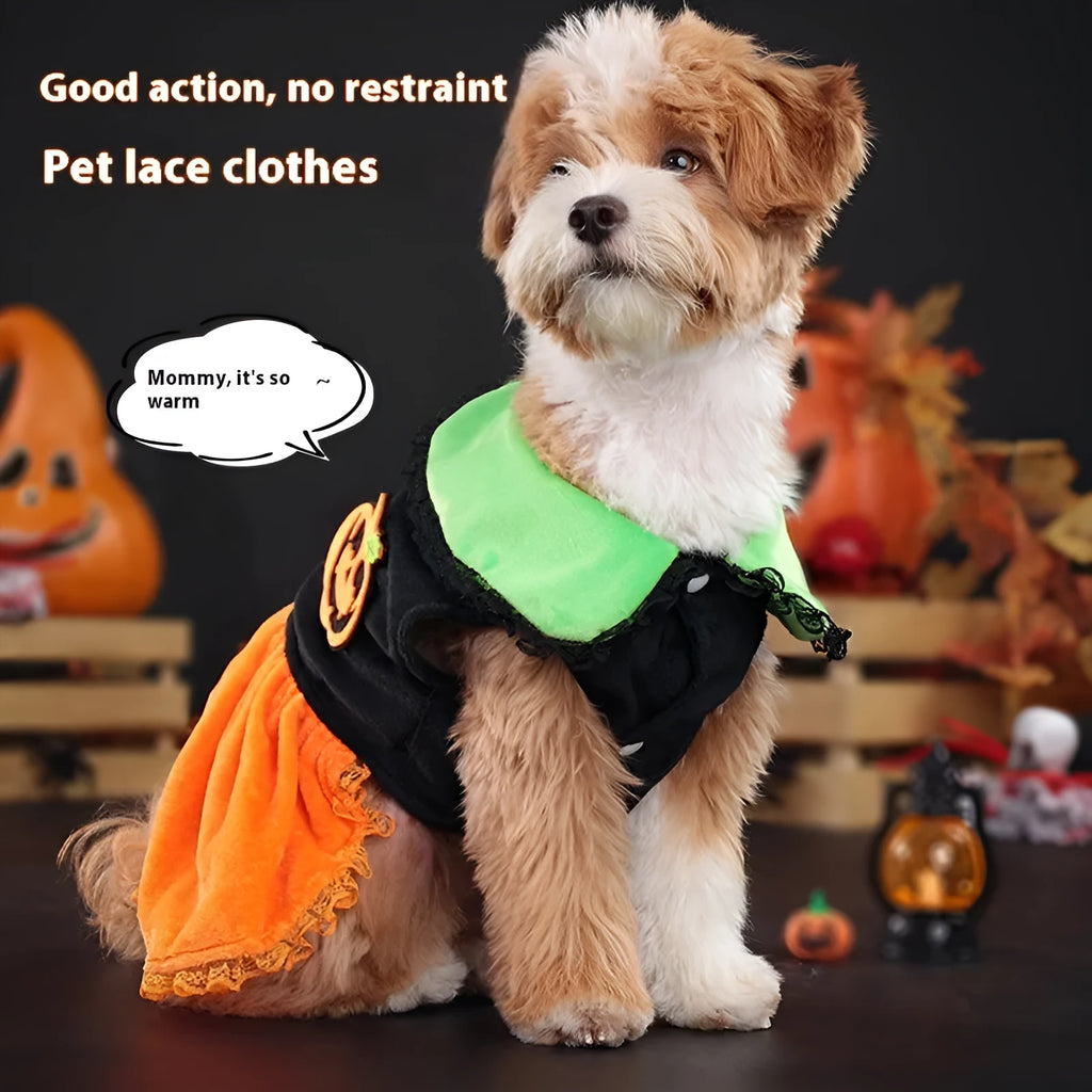 Halloween pumpkin skirt pet costume on a small dog next to a Halloween sweater style variant.