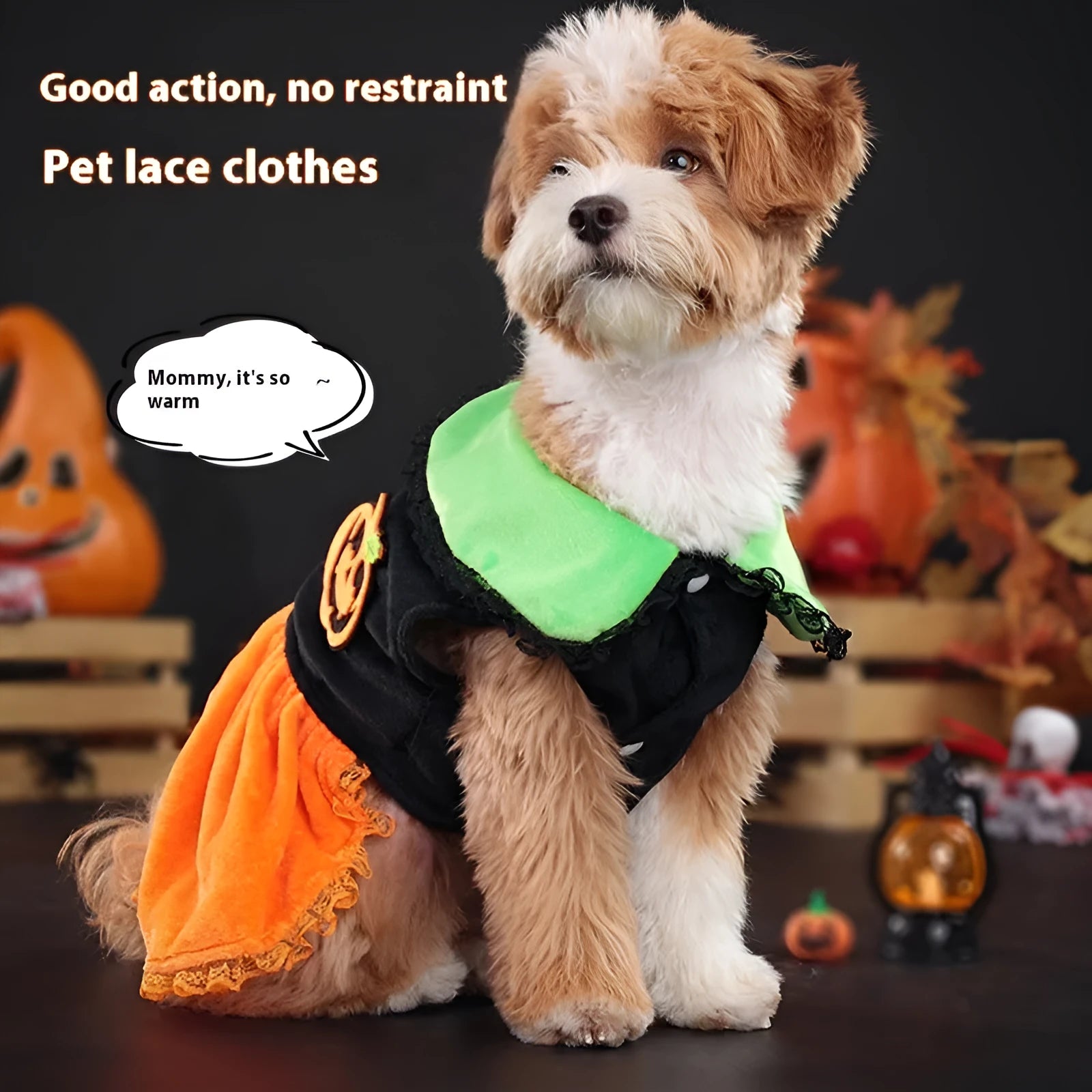Halloween pumpkin skirt pet costume on a small dog next to a Halloween sweater style variant.