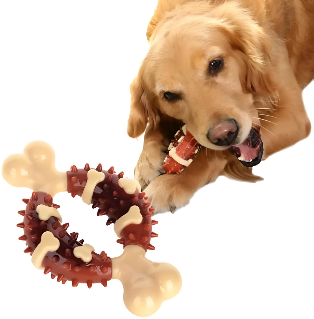 Natural rubber bone-shaped dog chew toy for dental health and anxiety relief