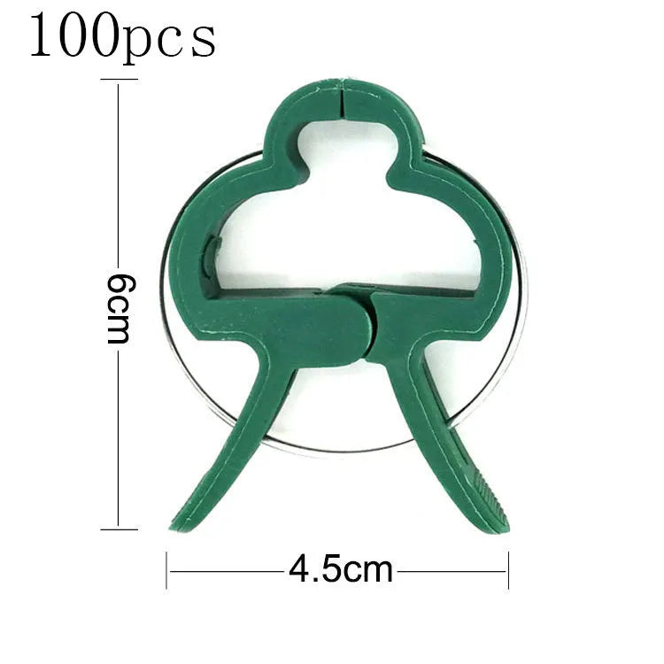 Green plastic and zinc plant fixing clips in large and small sizes for tomatoes and climbing plants
