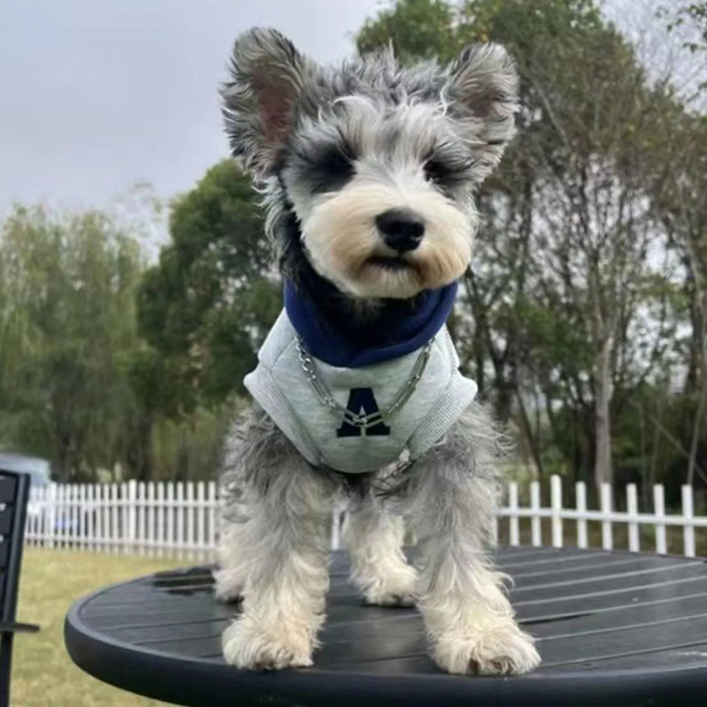 Blue and white reflective letter slim-fitting pet hoodie for dogs and cats