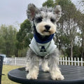 Blue and white reflective letter slim-fitting pet hoodie for dogs and cats