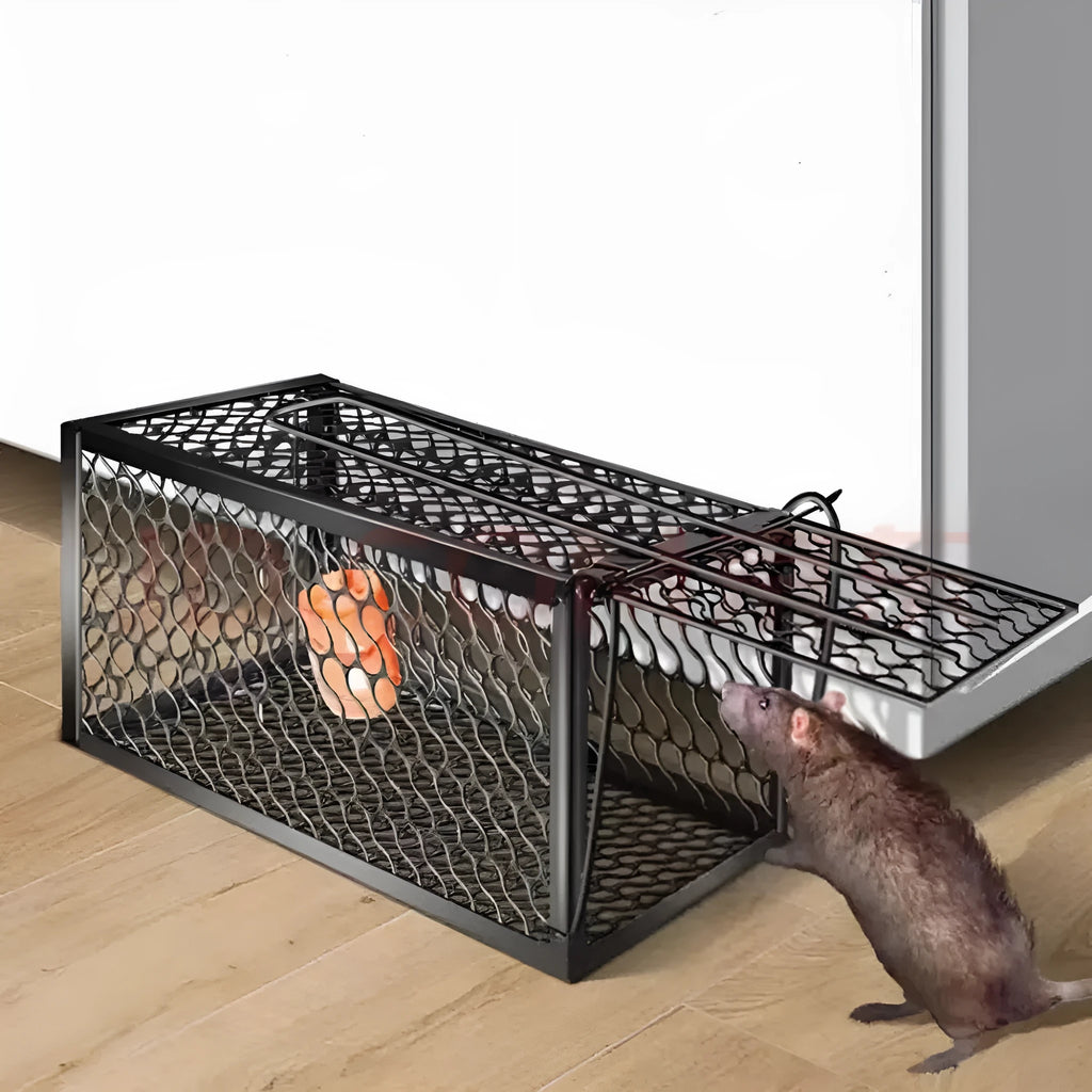 Automatic mouse trap cage in metal and plastic construction for indoor rodent control