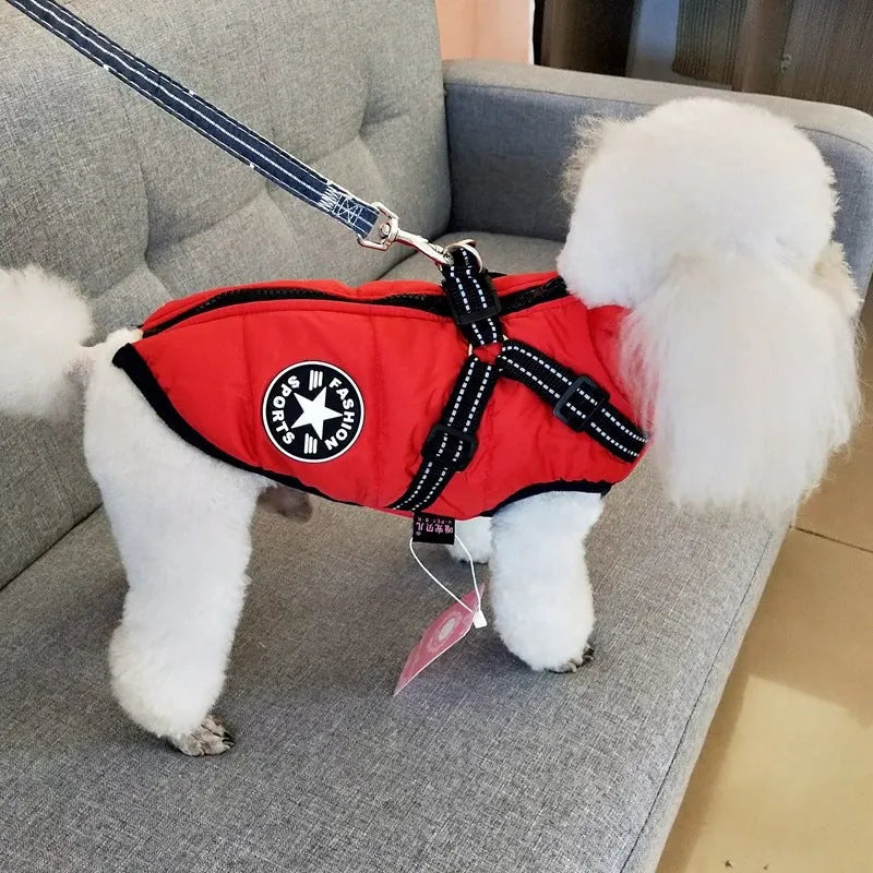 Waterproof dog coat in red with harness opening, sized for Labrador breed during winter walk.