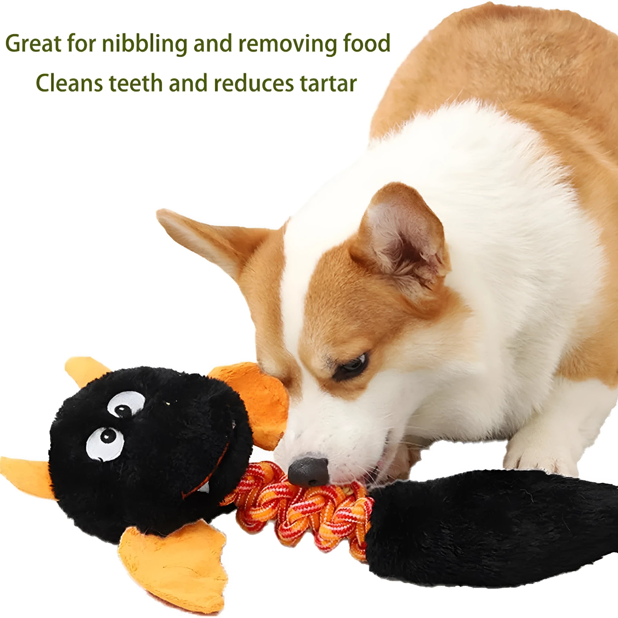 Large soft rabbit fleece plush dog toy with squeaker in green colour