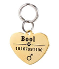 Stainless steel pet ID tag with natural zircon chain in black, blue, gold, or silver, styles A to J