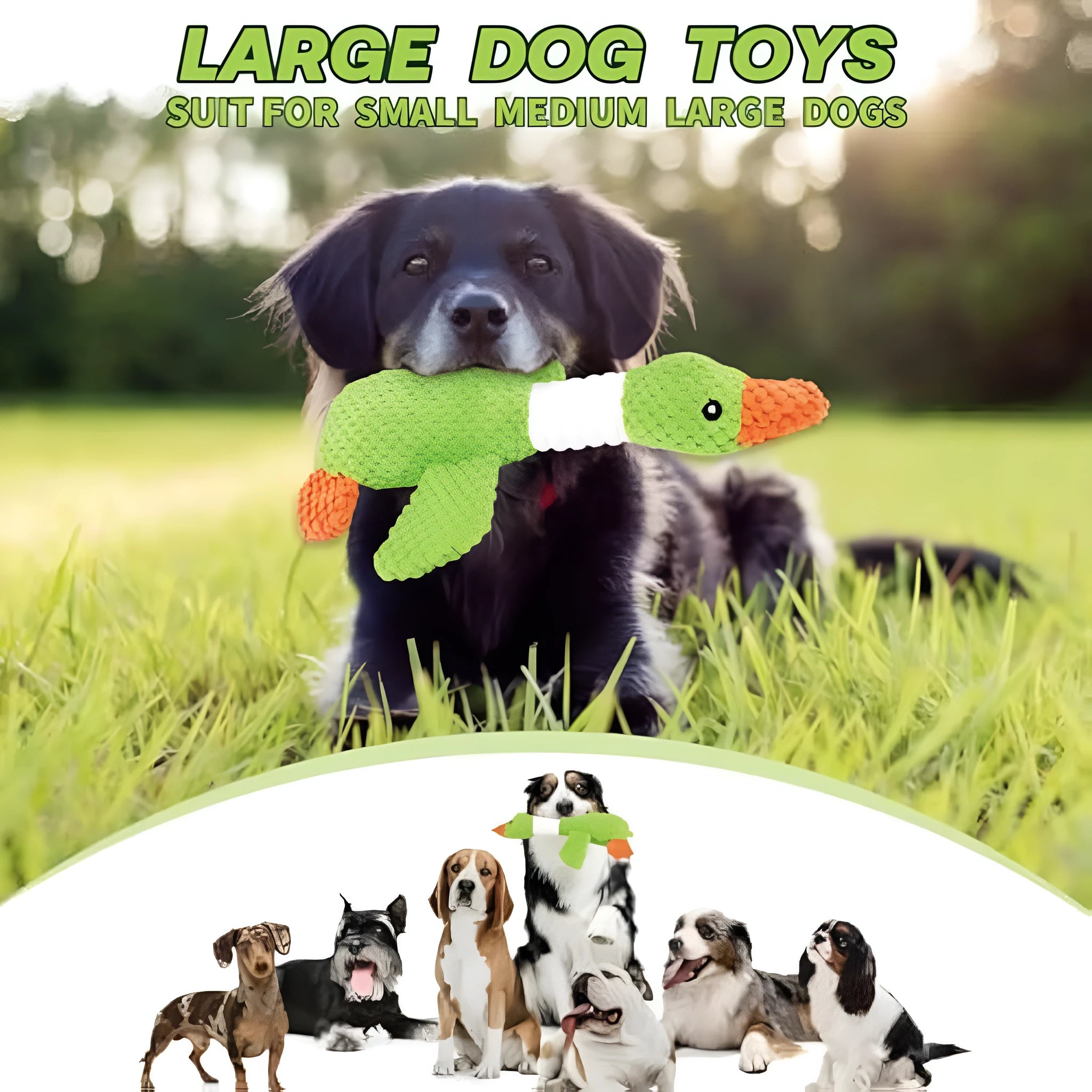 Blue, green or grey duck-shaped dog plush toy with squeakers, measuring 33 cm