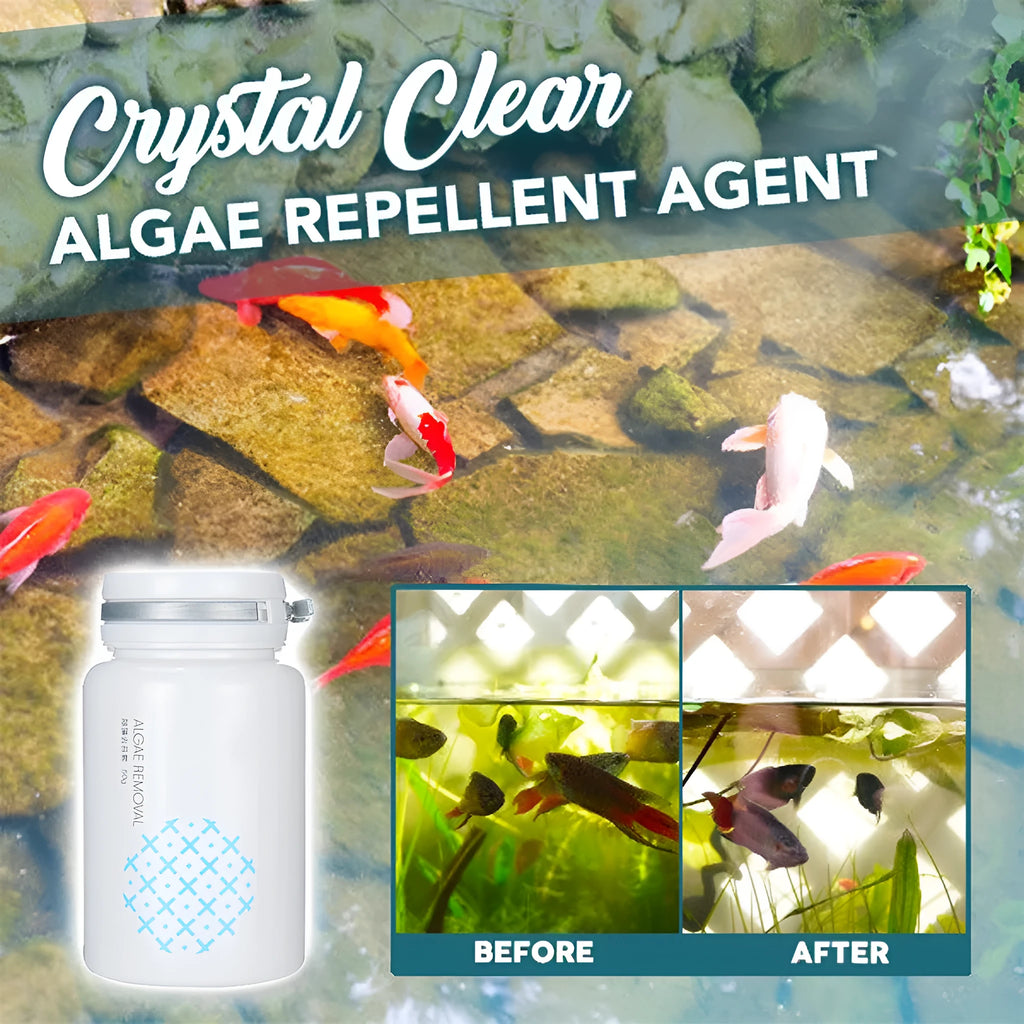 50g swimming pool algaecide container for algae removal and water purification treatment