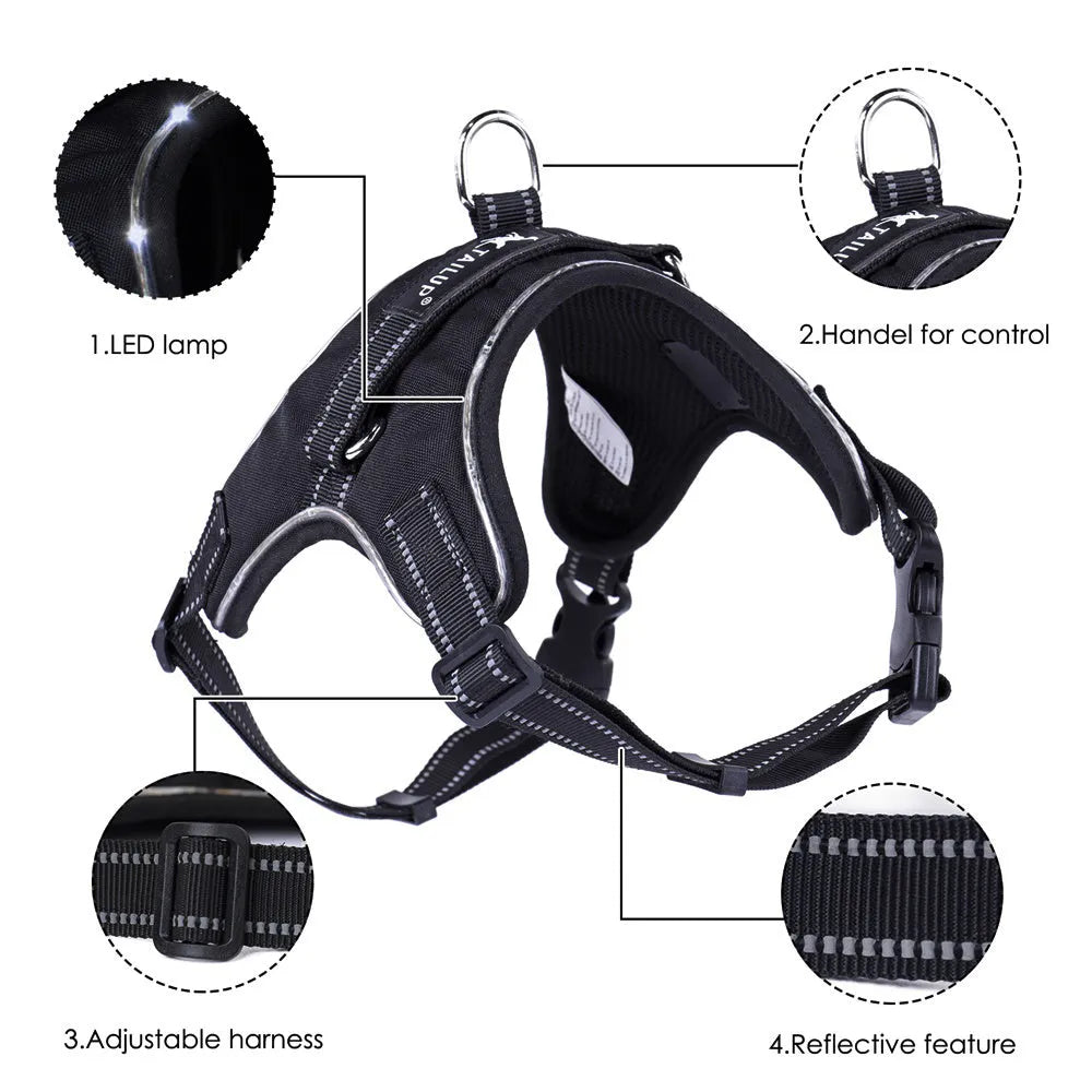 Glowing dog collar with LED lights, reflective strips, 1000D Oxford, waterproof, adjustable strap, black green orange