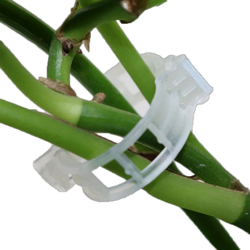 50 plastic garden grafting clips for tomato flowers and plant twigs with smooth injection-moulded surfaces