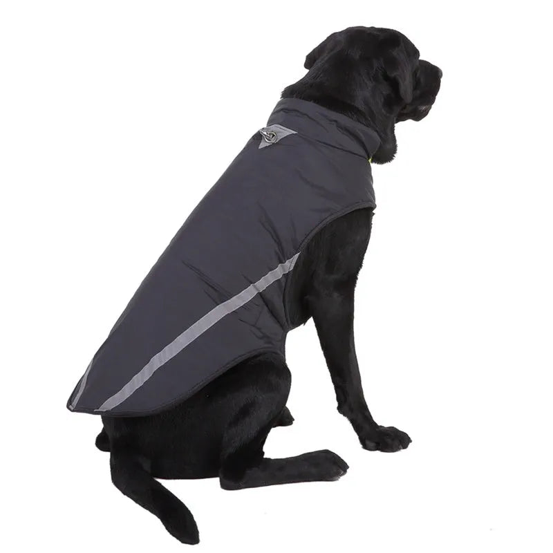 Cotton two-legged large dog jacket in black, blue or purple, sizes S to 2XL with cm size chart