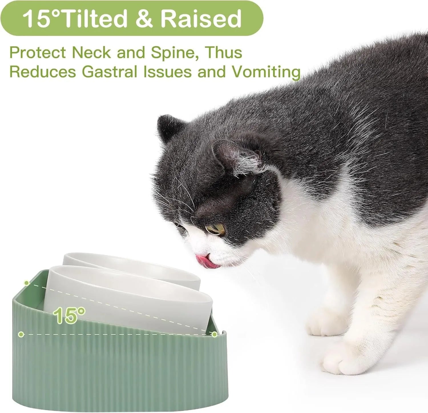 Green and white ceramic elevated cat bowls on a tilted stand with non-slip base