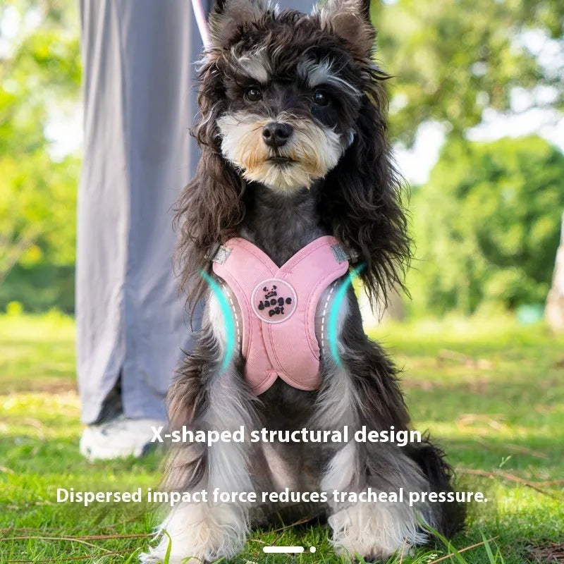 Blue adjustable polyester dog harness vest with a matching hand holding rope on a white background.