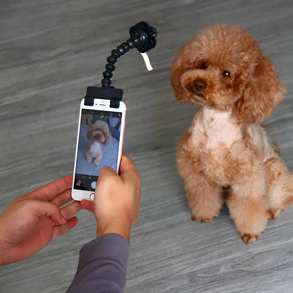Black pet selfie stick with square and flower clips for holding treats during pet photography