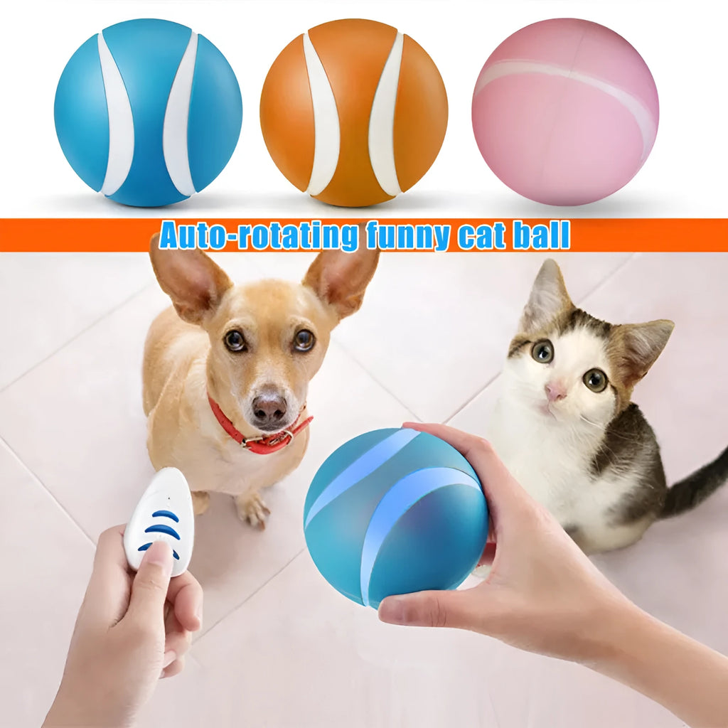 90mm plastic remote control pet toy ball with LED flashing lights in blue, orange or pink, with remote and charging cable
