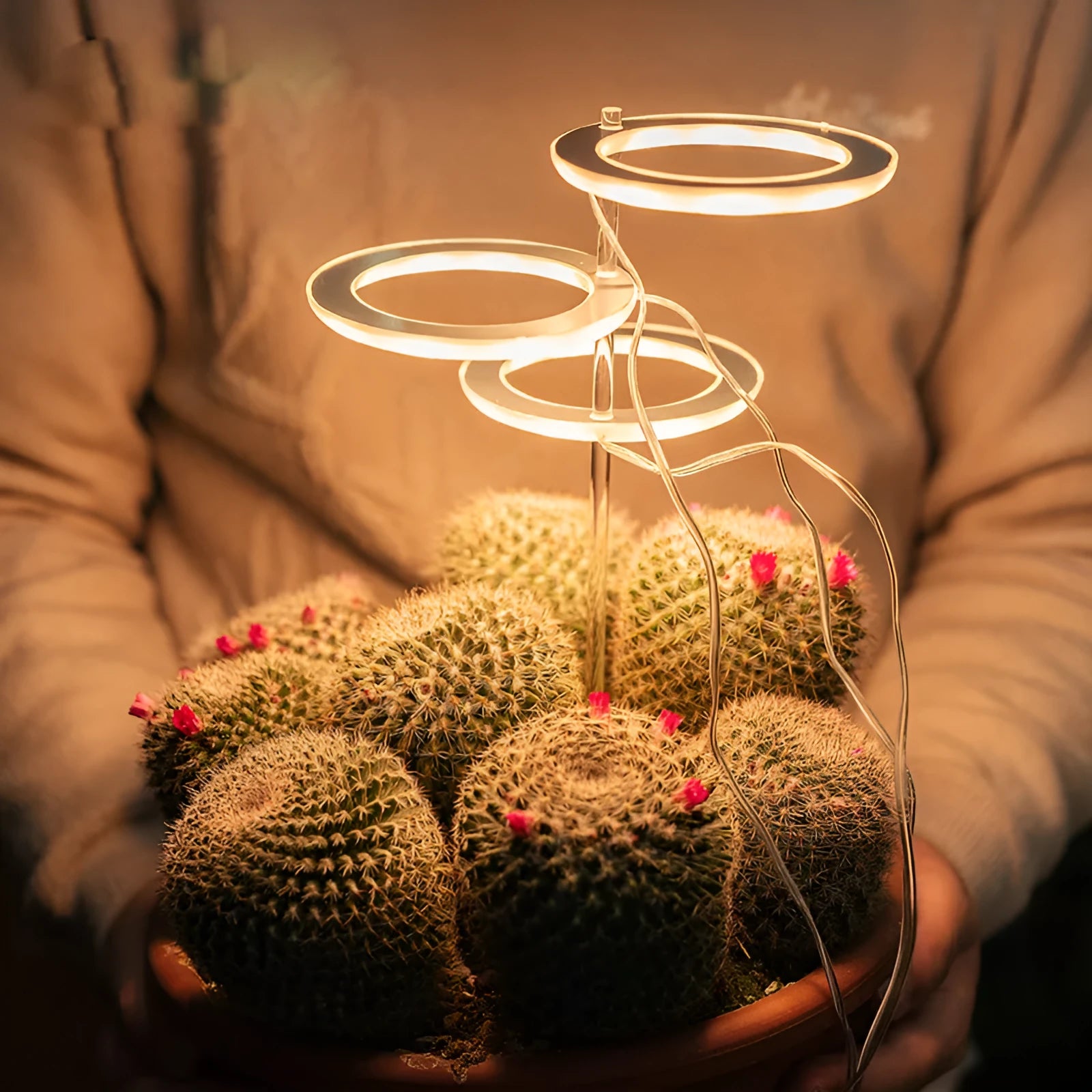 USB LED plant grow light with transparent yellow housing and acrylic mounting stick.