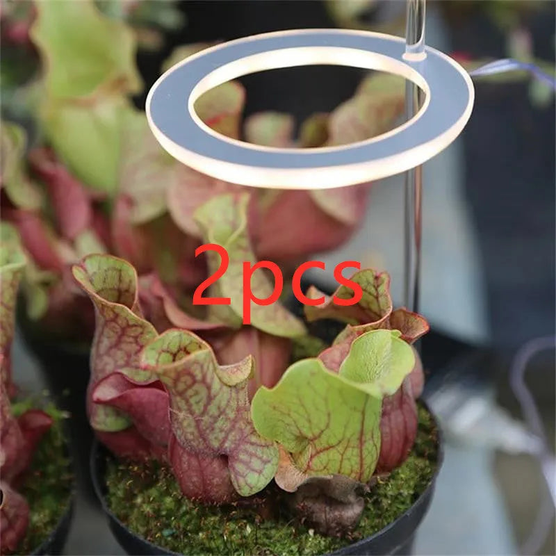 USB LED plant grow light with transparent yellow housing and acrylic mounting stick.
