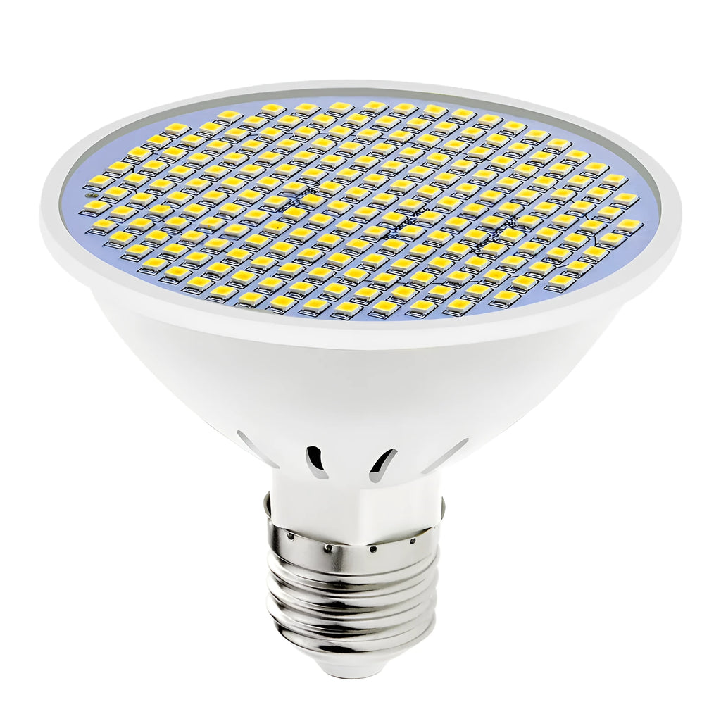 E27 LED bulb with warm white and cool white colour temperature options for household lighting