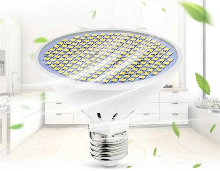 E27 LED bulb with warm white and cool white colour temperature options for household lighting